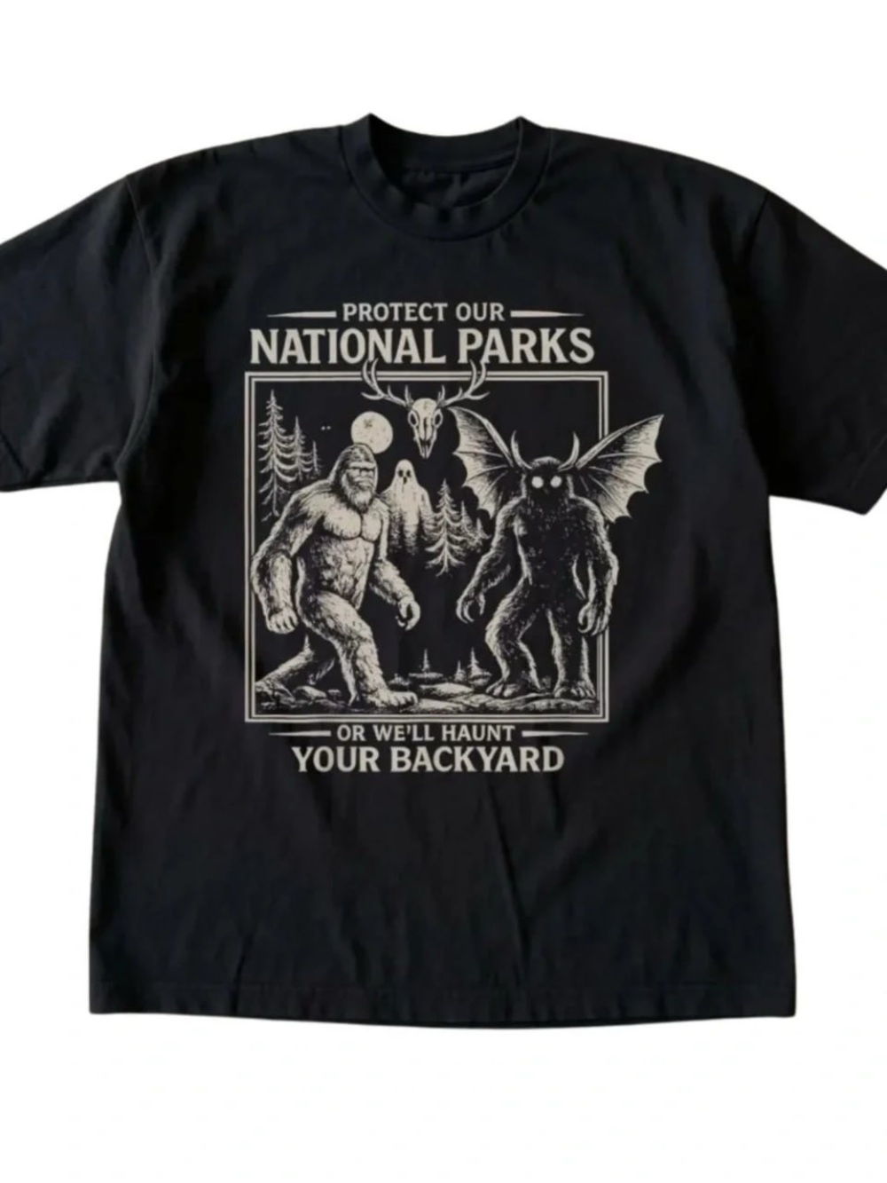 Black Tee with Cream National Parks Graphic